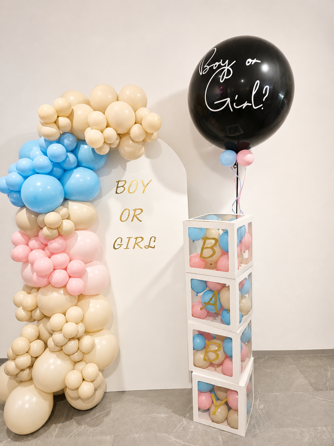 Backdrop Gender Reveal